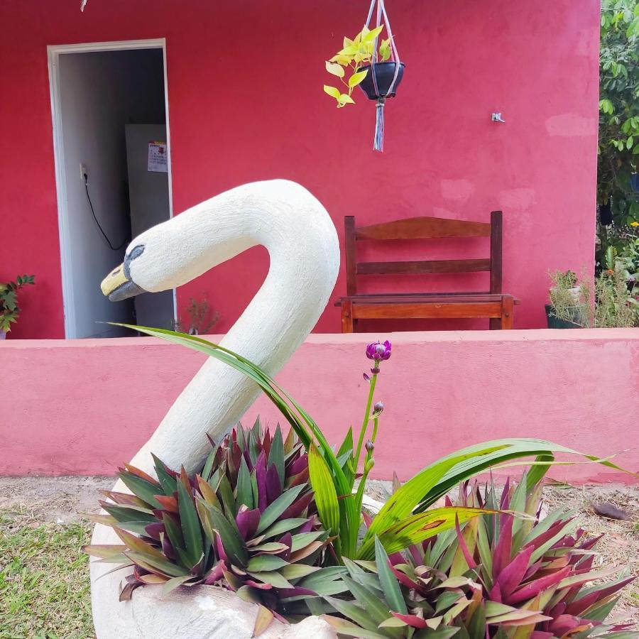Espaco Slow Living Flor Do Pantanal Piraputanga Zewnętrze zdjęcie